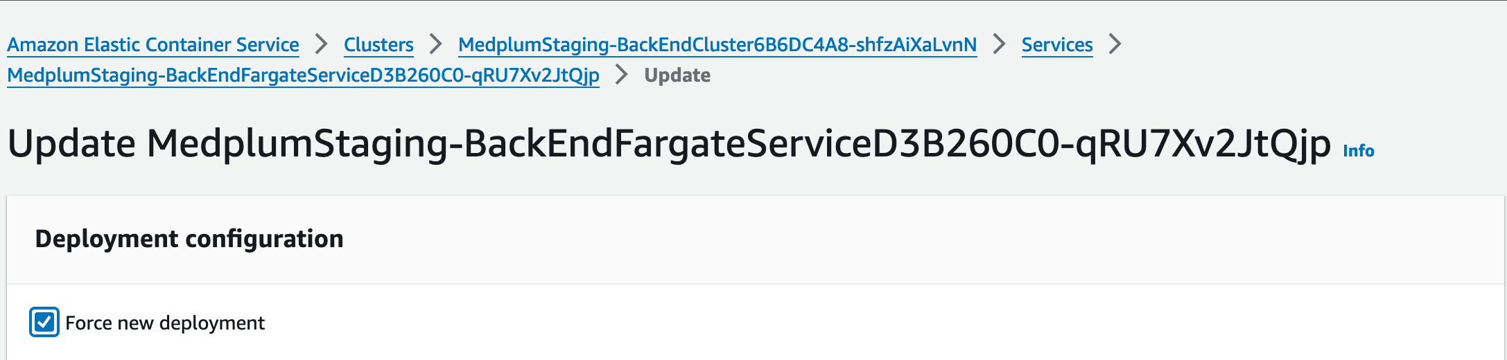 AWS Console screenshot showing the "Force new deployment" checkbox checked when updating the ECS Service
